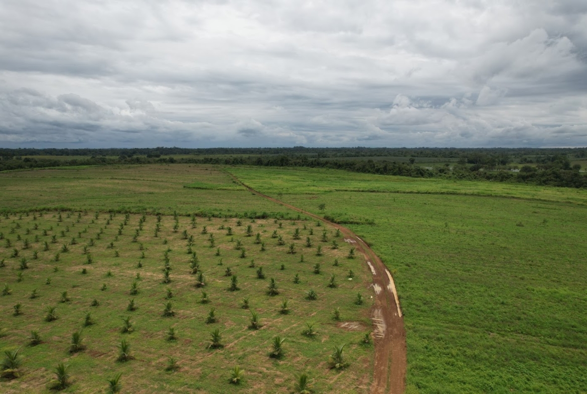 Fincas en San Carlos